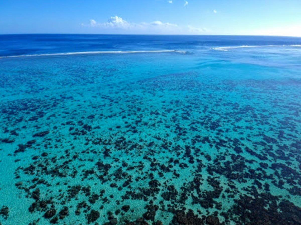 Moorea - Fare Taina Nui Haapiti Exteriér fotografie