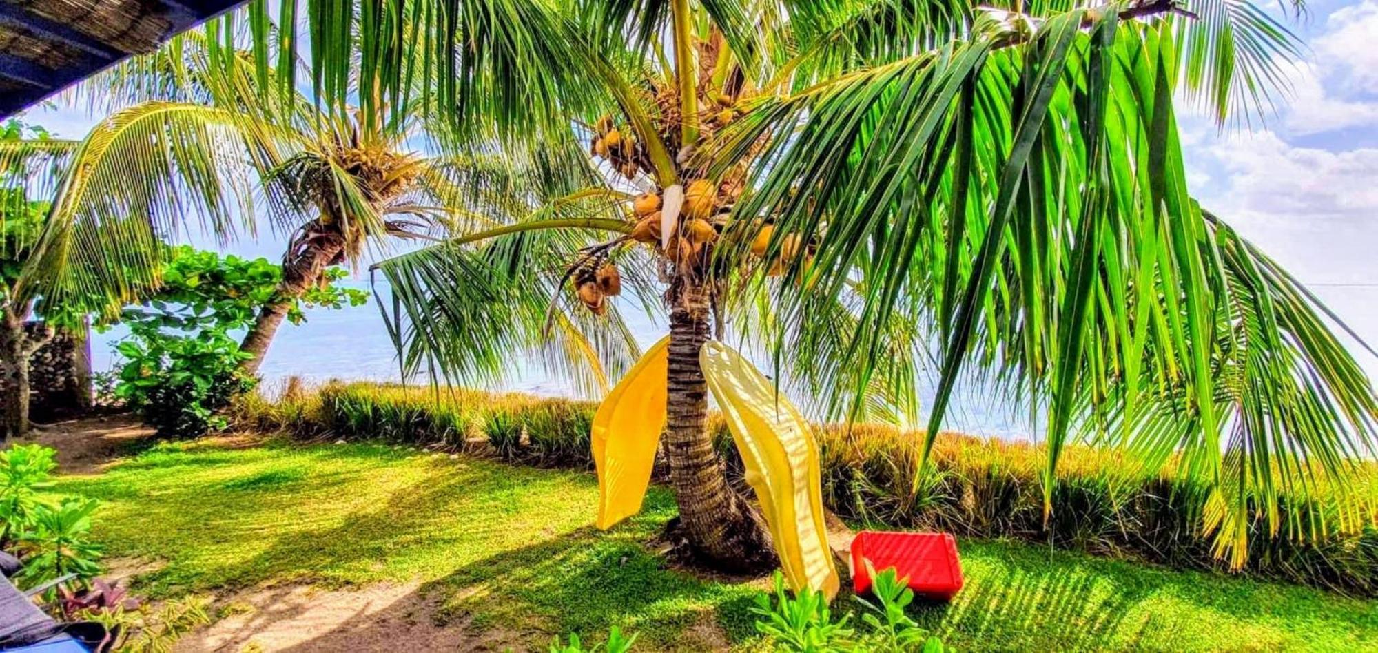 Moorea - Fare Taina Nui Haapiti Exteriér fotografie